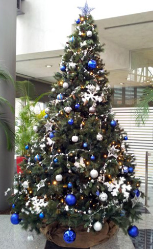 Albero di natale